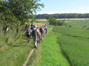 la-foret-des-grands-avaux