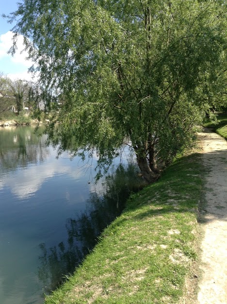 Bords de Marne