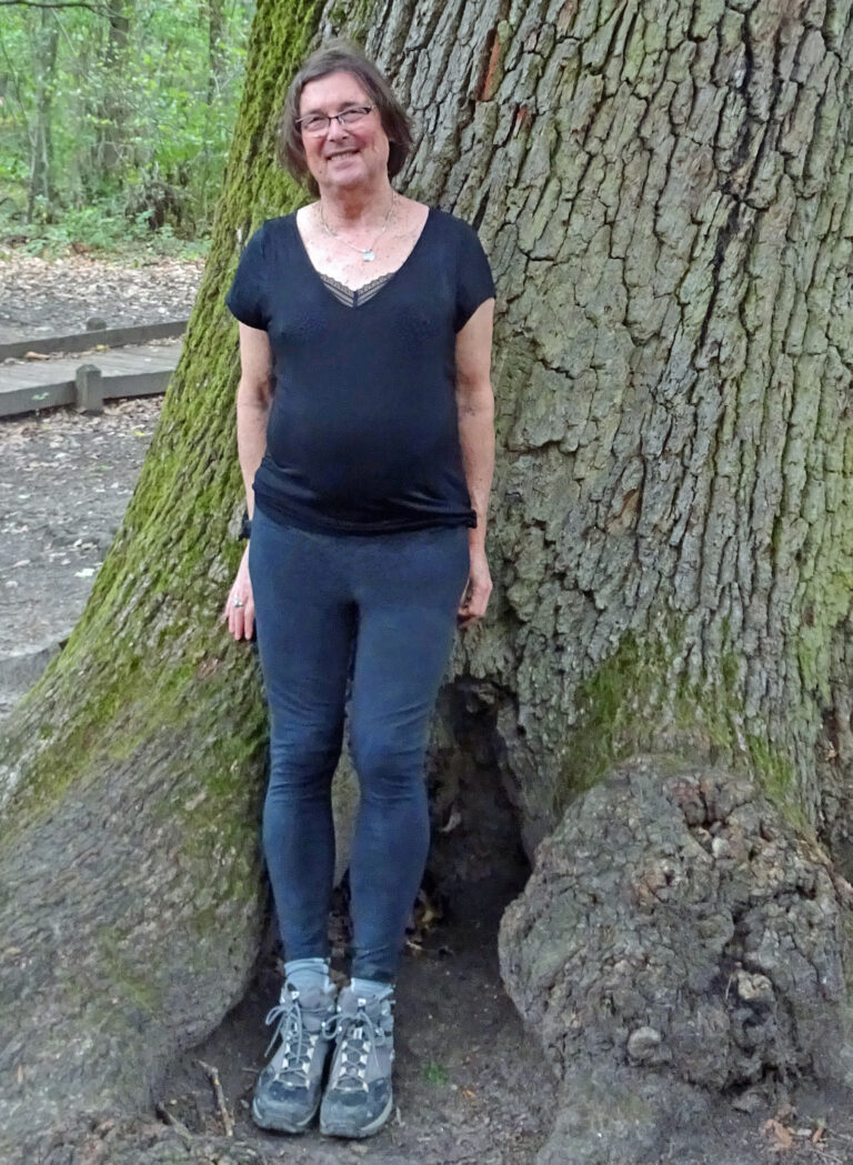 la-foret-de-carnelle-2