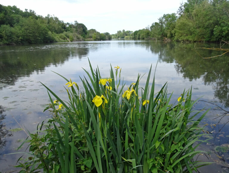 les-etangs-de-mennecy