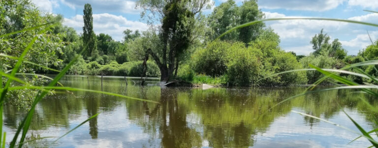 marais Itteville