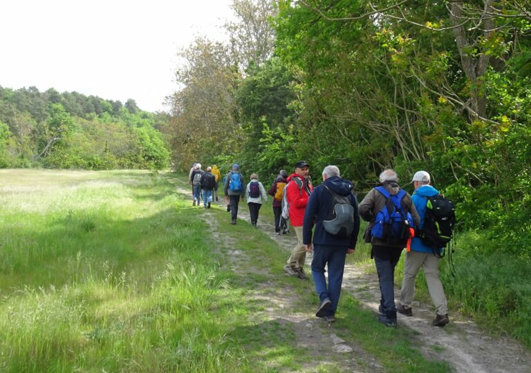 en-suivant-la-marsange-2