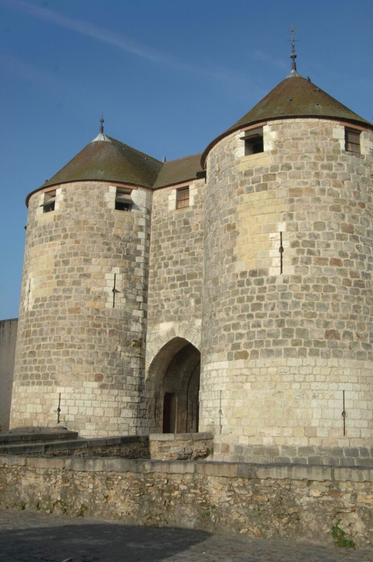 Sous-bois Dourdan