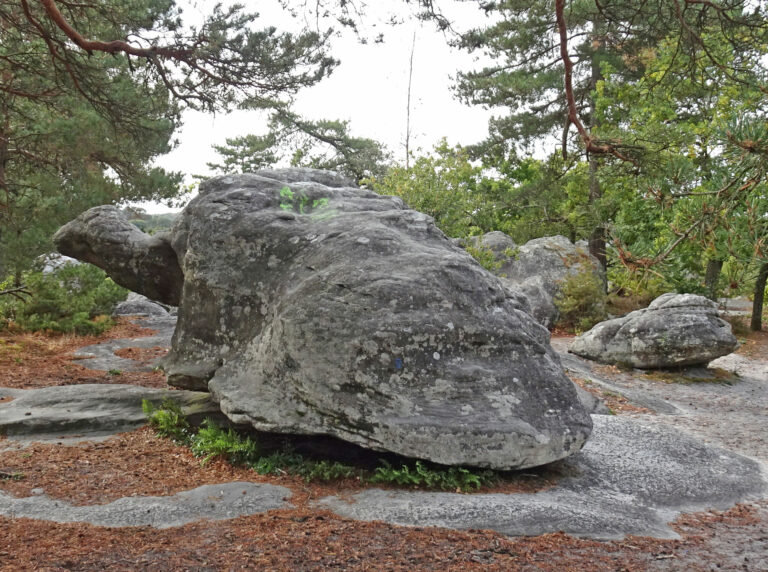 La tortue au rochers Gréau